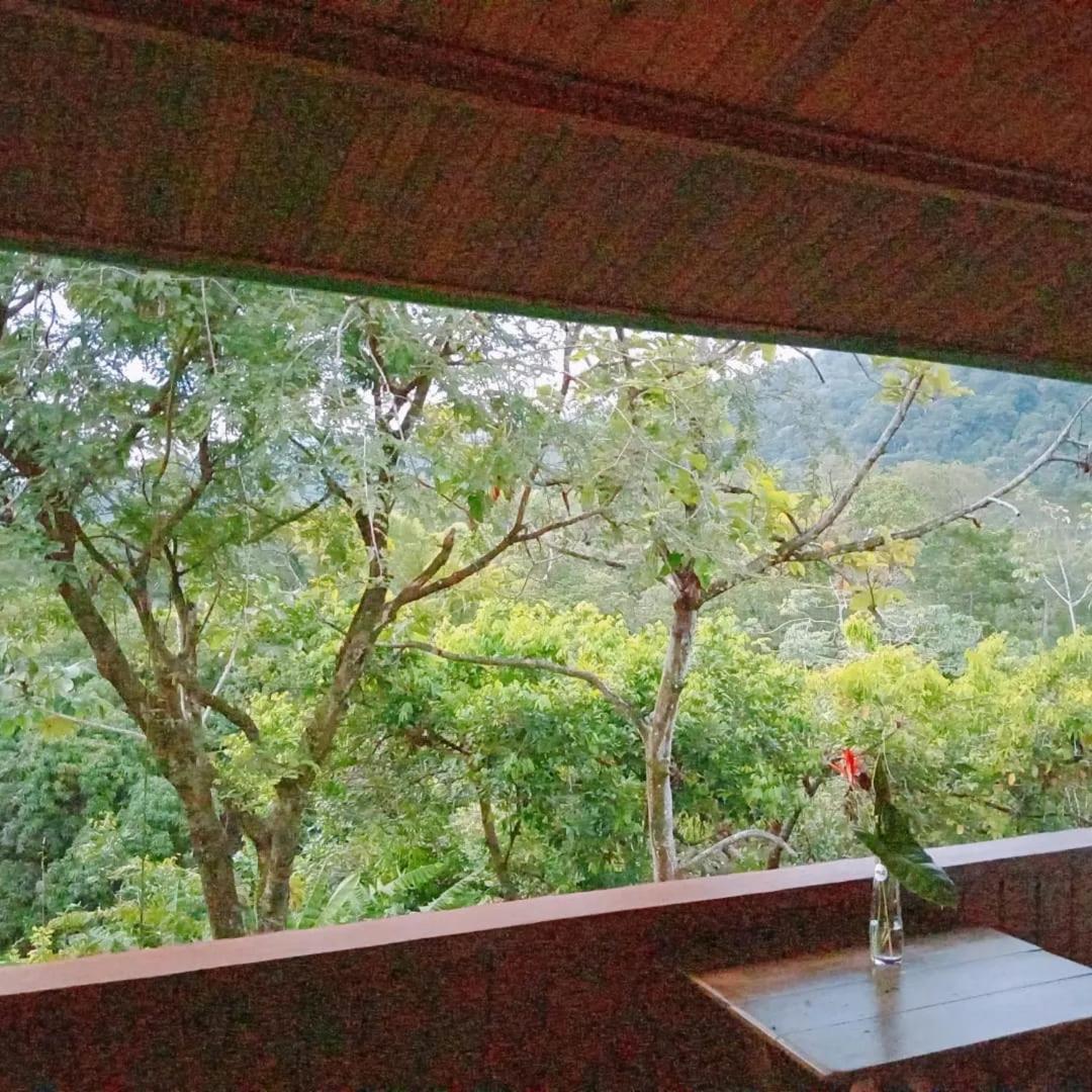 Casa Miramar Villa Uvita Kültér fotó
